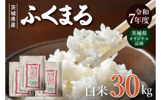 【数量限定】★茨城県オリジナル品種★R7年産 新米ふくまる 白米30kg|お米 米 ふくまる 新米 白米 茨城県 取手市（BQ003）