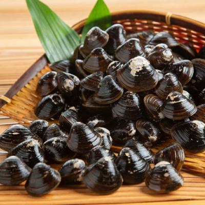 ふるさと納税 紋別市 【お中元】真ほっけ一夜干し6枚と砂出ししじみ1.25kgセット |  | 03