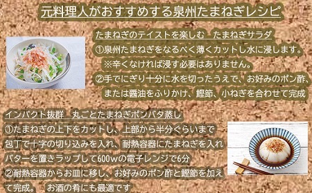 岸上農園　泉州玉ねぎ　約５kg