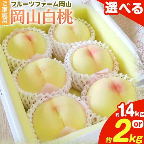 【2026年先行予約】桃 旬 岡山白桃 旬の桃 ご家庭用 選べる内容量 1.4kg (4～6玉) 2kg (5～10玉) フルーツファーム岡山《2026年6月下旬-8月下旬頃出荷》岡山県 浅口市 送料無料 フルーツ モモ 果物 青果 旬 国産 岡山県産【配送不可地域あり】