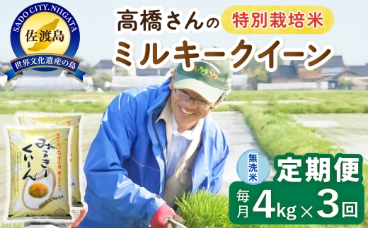 【定期便 令和8年産新米 3か月】 佐渡島産ミルキークイーン 無洗米 4Kg(2kg×2袋） 令和8年産新米 特別栽培米 高橋農園 | 新潟県産ミルキークイーン 佐渡産ミルキークイーン ミルキークイーン お米 米 無洗米 むせんまい 精米 おこめ コメ 4キロ にいがた さど 新潟県 佐渡市