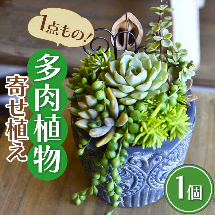 【ふるさと納税】natur オリジナル 多肉 植物 寄植え 粘土 鉢 福岡 八女 プレゼント 母の日広川町 / plantsfunshopnatur[AFAT001]