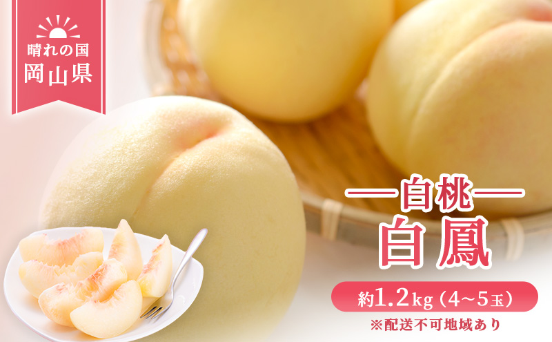 【 2027年 先行予約】 桃 岡山県産 白鳳 （ 白桃 ）約1.2kg(4～5玉) 《2027年7月上旬-中旬頃出荷》 白桃 岡山 はくとう スイーツ フルーツ 果物 先行予約 数量限定 期間限定 岡山 里庄町 モモ もも 桃 