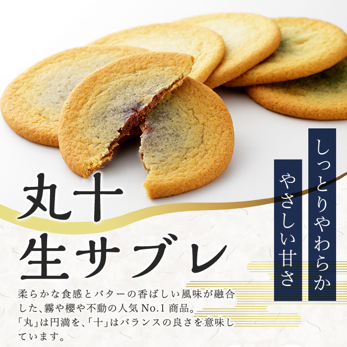 C-086-D 【6回定期便】丸十生サブレ詰め合わせ(12枚入×2箱×6回 計144枚)【徳重製菓とらや】霧島市 生サブレ サブレ しっとり なめらか マイルド お菓子 焼菓子 おやつ お土産 贈り物