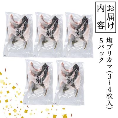 ふるさと納税 佐伯市 【試食用チキンカツ付】ひもの丸丁の塩ブリカマ(3〜4枚入り)×5パック |  | 01