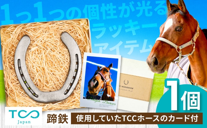 
            TCCホースシュー 世界に一つだけの蹄鉄/ 競馬 馬 競走馬 グッズ トレセン ホースシュー 幸運 インテリア 競馬 蹄鉄 馬蹄 / 栗東市 / 株式会社TCC Japan [BIAV003]
          