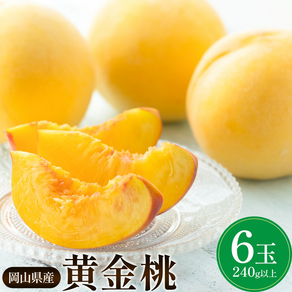 【ふるさと納税】岡山県産 黄金桃 6玉 (240g以上) 有限会社ホーティカルチャー神島《9月上旬-9月中旬頃出荷》岡山県 浅口市 黄桃 桃 モモ 果物 スイーツ フルーツ デザート