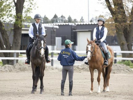 【ふるさと納税】ペア体験乗馬レッスン2回コース＋蹄鉄プレゼント｜乗馬体験 馬 初心者 癒し ヒーリング アニマルセラピー 神奈川 秦野 午年 駒 縁起 還暦 年男 年女