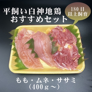 数量限定 平飼い白神地鶏 おすすめセット 400g～ 1パック  詰め合わせ  平飼い 地鶏 鶏肉 鳥肉 お肉 肉 秋田 秋田県 能代市