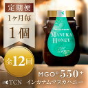 【ふるさと納税】【毎月定期便】インカナム マヌカハニー【MGO550+】500g×1個　全12回【4050101】