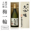 【ふるさと納税】鑑評品大吟醸　梅一輪 ／ お酒 日本酒 地酒 送料無料 千葉県 山武市 SMC001