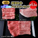 【ふるさと納税】那須和牛バラエティセットA5（約4.2kg）牛肉 国産 冷蔵 冷凍 セット 那須町〔I-2〕