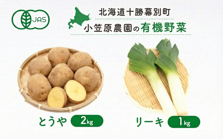 先行予約 有機野菜 2種セット 3kg とうや リーキ