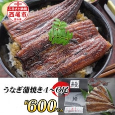 一色産うなぎ蒲焼 無頭(4～6尾　合計600g以上)・T055-29