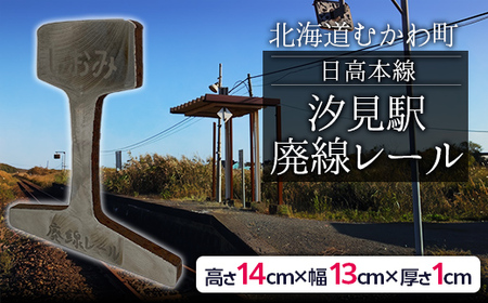 日高本線廃線レール 厚さ１cm（数量限定）【 ふるさと納税 人気 おすすめ ランキング 廃線 レール フォトスタンド 置物 限定 北海道 むかわ町 送料無料 】 MKWG030