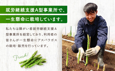 【2025年発送 先行予約】ひだっこアスパラガス 500g |アスパラガス 飛騨産 野菜 春  夏野菜  産地直送 新鮮アスパラガス おいしいアスパラガス 人気アスパラガス 飛騨高山 ひだっこの里 C