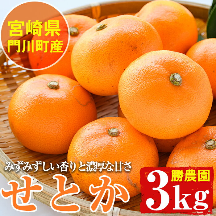 【ふるさと納税】＜先行予約受付中！2026年2月下旬～4月末の間に末発送予定＞宮崎県門川町産せとか(約3kg)柑橘 果物 数量限定 期間限定 国産 フルーツ 常温保存 遠見半島 宮崎県 門川町【AE-18】【勝農園】