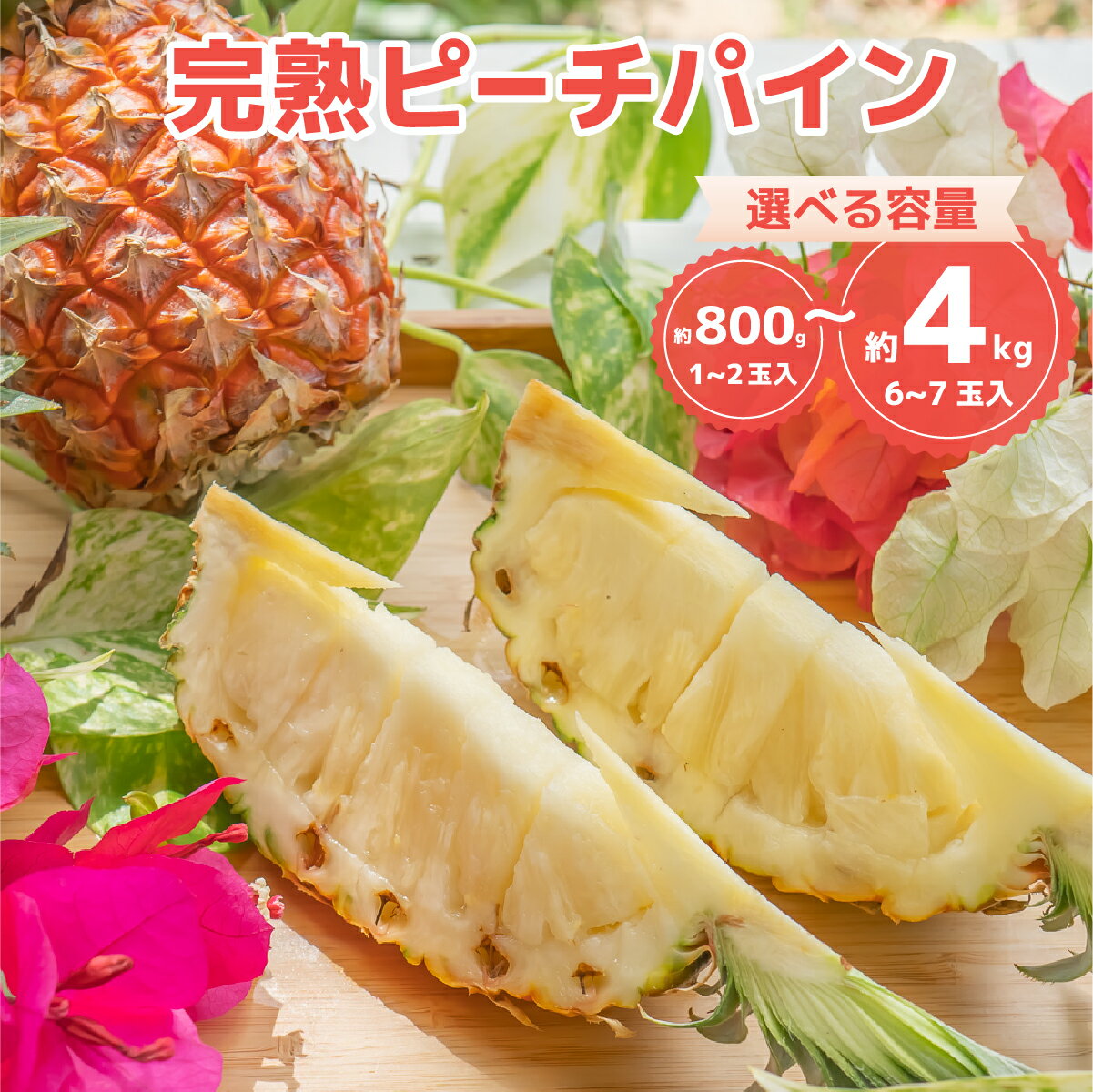 【ふるさと納税】【内容量が選べる】人気No.1『初ピーチの方に大好評!!』☆新感覚の味わい!!☆桃のような甘〜い香りのする芳醇なパイナップル！約800g〜4kg 【サイズ ピーチパイン 桃のような香りのパイン 送料無料】お届け：2026年4月下旬～6月下旬