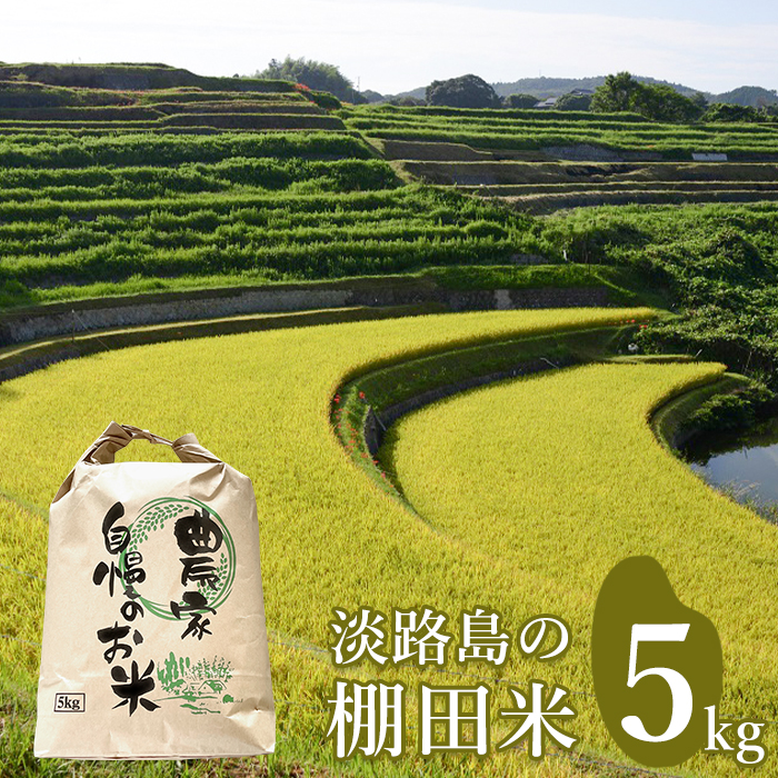 淡路島の棚田米 ５kg　白米