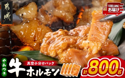 
                  やみつき牛ホルモン800g!(真空小分け)≪みやこんじょ特急便≫_LG8-3307-Q_(都城市) 牛ホルモン 味付き 200g×4P 800g 小分け 真空パック 特急便
                