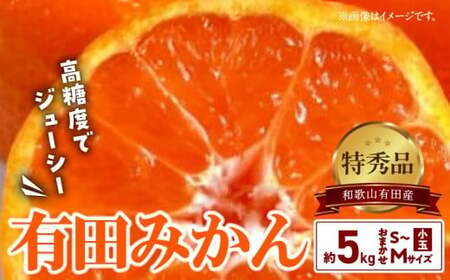 【2026年先行予約】高糖度 有田みかん 特秀品 5kg 小玉 (S～Mサイズおまかせ)_BD6035n