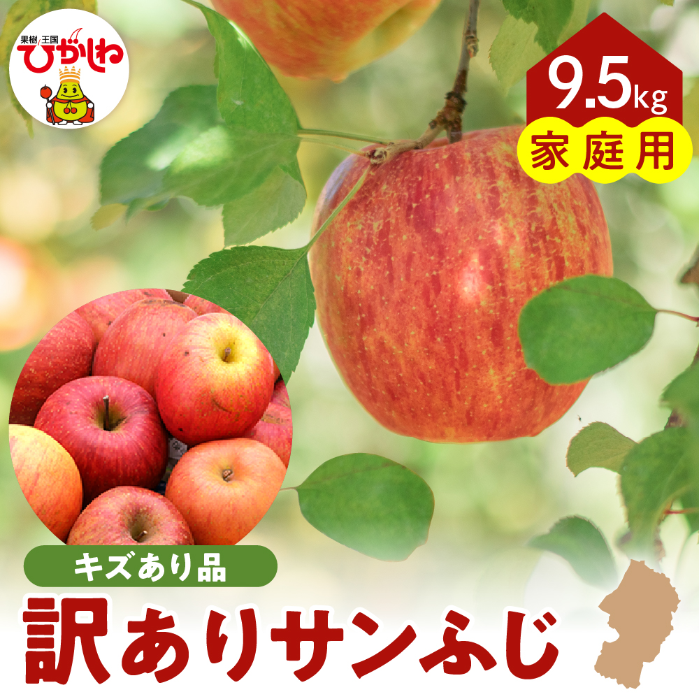 【令和7年産 先行予約】ご家庭用サンふじ満杯詰（約9.5kg) 山形県 東根市 東根農産センター提供 hi027-203-1