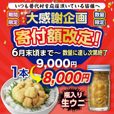 ふるさと納税 普代村 【期間限定 寄付金額改定】【漁師厳選】 普代産 生うに60g 瓶入り ミョウバン不使用 塩水 |  | 01