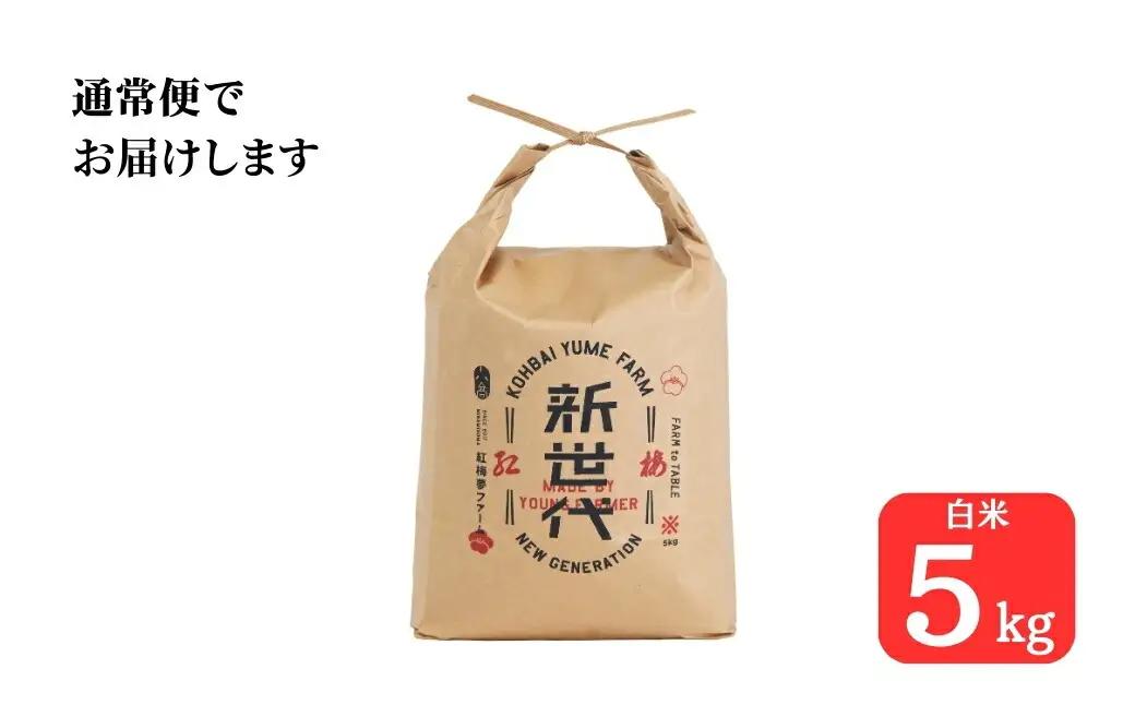 天のつぶ 新世代 白米 5kg ｜ 令和7年産米 紅梅夢ファーム