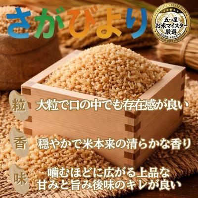 ふるさと納税 吉野ヶ里町 【毎月定期便】【玄米】さがびより10kg(5kg×2袋)(吉野ヶ里町)全12回 |  | 01