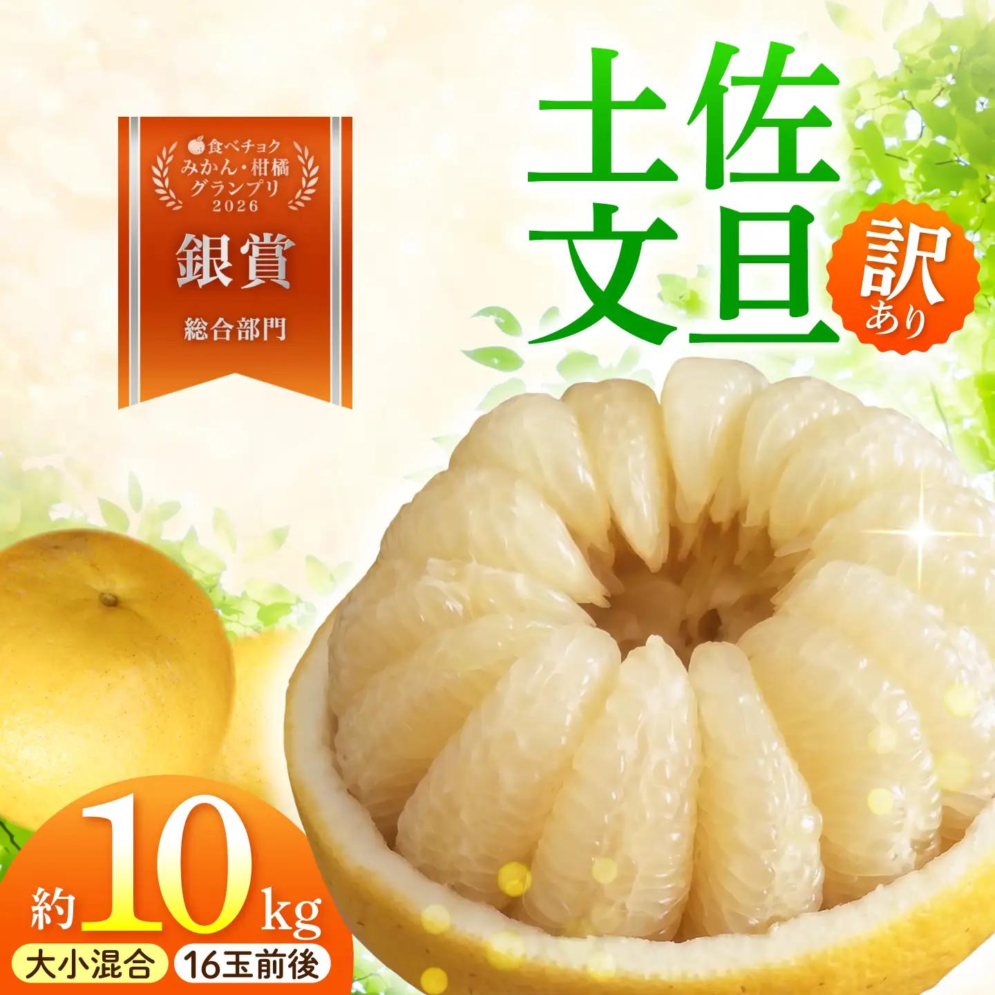 【先行予約】本場、高知県土佐市産！ 土佐水谷農園の露地土佐文旦 家庭用10キロ 10kg 大小混合（Lから上限なし：16玉前後）〈2027年1月20日〜発送〉高知県土佐市 【土佐水谷農園】 [BQBD004]