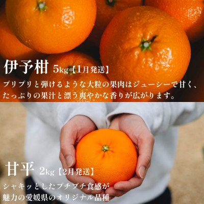 【発送月固定定期便】愛媛の美味しい柑橘 人気6品種 まどんな・甘平・せとか等【H70−41】全6回【4055158】