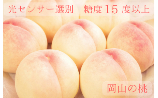 樹熟し 白桃 2kg 糖度15度以上 【極甘】 _S117