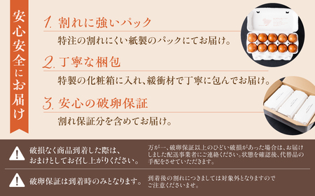 産みたてたまご 30個 ( 割れ保証込み 25個 ＋ 5個 ) 卵 たまご ナガイタマゴ 鶏卵 卵かけごはん 海苔 エサ 赤玉 パック 赤鶏 卵かけご飯 玉子焼き 玉子 国産 新鮮 小分け パック ギ