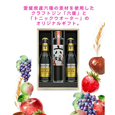 【ふるさと納税】道後ジン 六媛・トニックセット（G6-200）　 お酒 晩酌 家飲み 宅飲み 愛媛県産素材 ボタニカル 華やかな香り 香ばしい香り キレ のかな甘み トニックウォーター