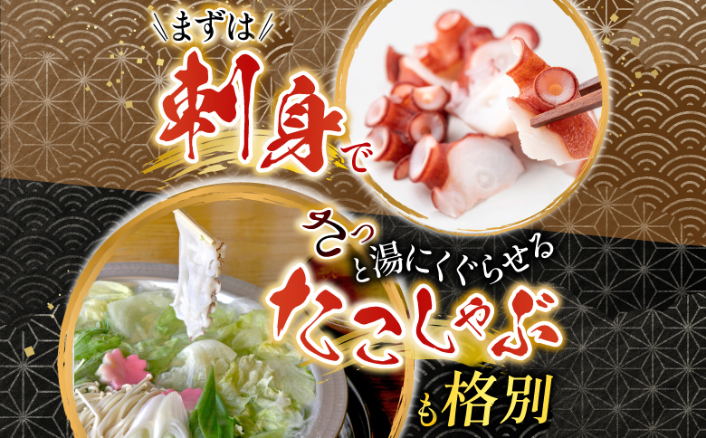 【北海道根室産】たこ足800g前後～1.4kg前後×1本 A-36051
