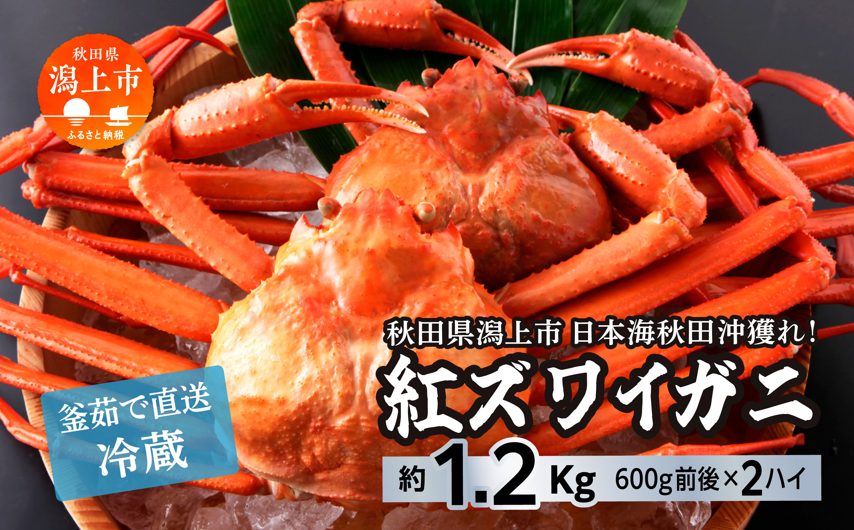 日本海沖産 紅ズワイガニ600g前後×2匹 約1.2kg/冷蔵 冷蔵 ズワイガニ 2匹 約 1.2kg 紅ズワイガニ ベニズワイガニ ずわい ズワイ蟹 ずわいがに ずわい蟹 姿 ボイル 訳あり 蟹 カニ かに 国産 蟹 不揃い 傷 緊急 カニみそ入り 潟上市