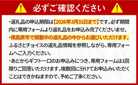 【あとから選べる】南島原市 ふるさとギフト 9万円分 / 寄付 あとから寄附 あとからギフト あとからセレクト あとからチョイス あとから選べる 長崎県 駆け込み寄附 後から選べる 後から選べるギフト