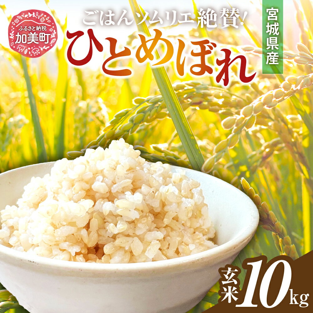 【ふるさと納税】玄米 米 令和7年産 宮城県加美町産 ひとめぼれ 10kg | sg-hb10-gn-r7 ＜菅原商店＞｜ 宮城県 加美町