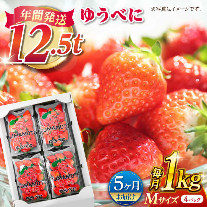 【ふるさと納税】【先行予約】【5回定期便】いちご Mサイズ ゆうべに 1kg（4pc）【熊本ベリー】[ZER019]