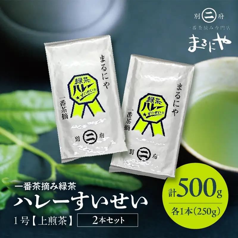 一番茶摘み緑茶ハレーすいせい1号(上煎茶)250g　2本セット_B079-011