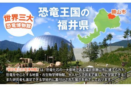 福井県立恐竜博物館 常設展観覧券 (一般 1名様と小・中学生 1名様) [A-048009]