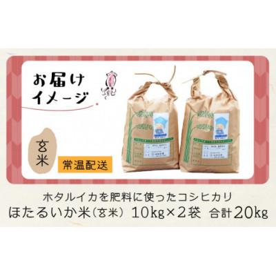 ふるさと納税 滑川市 【ほたるいか米】玄米　20kg(10kg×2袋) |  | 03