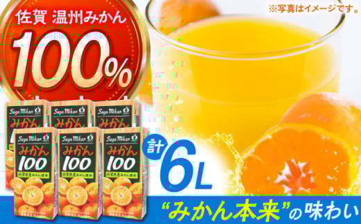 【佐賀県産温州みかん使用】人気上昇中！さがみかん100　1L×6本【JAさが 杵島支所】 [HAM039]みかん みかんジュース ミカン 蜜柑 佐賀みかん 果汁100% 濃縮還元