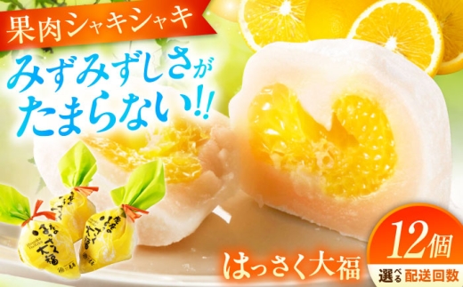 【全3回定期便】お菓子 はっさく大福12個入 お菓子 大福 八朔 柑橘 みかん オレンジ 餅 ギフト お取り寄せ スイーツ フルーツ大福 ご当地 菓子 おかし デザート 食品 人気 おすすめ 果汁 広島県産 特産品 産地直送 お取り寄せ 贈り物 ギフト 贈答品 絶品 和菓子 定期便 国産 白あん 個包装 逸品 定期便 福山スイーツ  広島県福山市/株式会社虎屋本舗[BADH014]