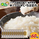 【ふるさと納税】【12ヶ月連続お届け】令和5年度産 福井県産新ブランド米 いちほまれ 5kg×12ヶ月（計60kg） / 白米 精米 ご飯 ごはん 定期便