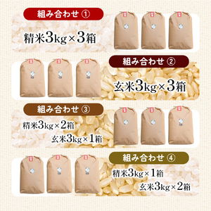 令和6年産　ふじもとファームの新米【コシヒカリ9kg】 精米3kg×3箱