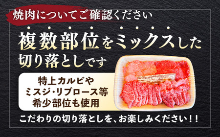 【隔月定期便全3回】葉山牛 まんぷく定期便 牛肉(スライス盛合せ・焼肉用ミックス・サーロインステーキ) 食べ比べ[ASBD060]