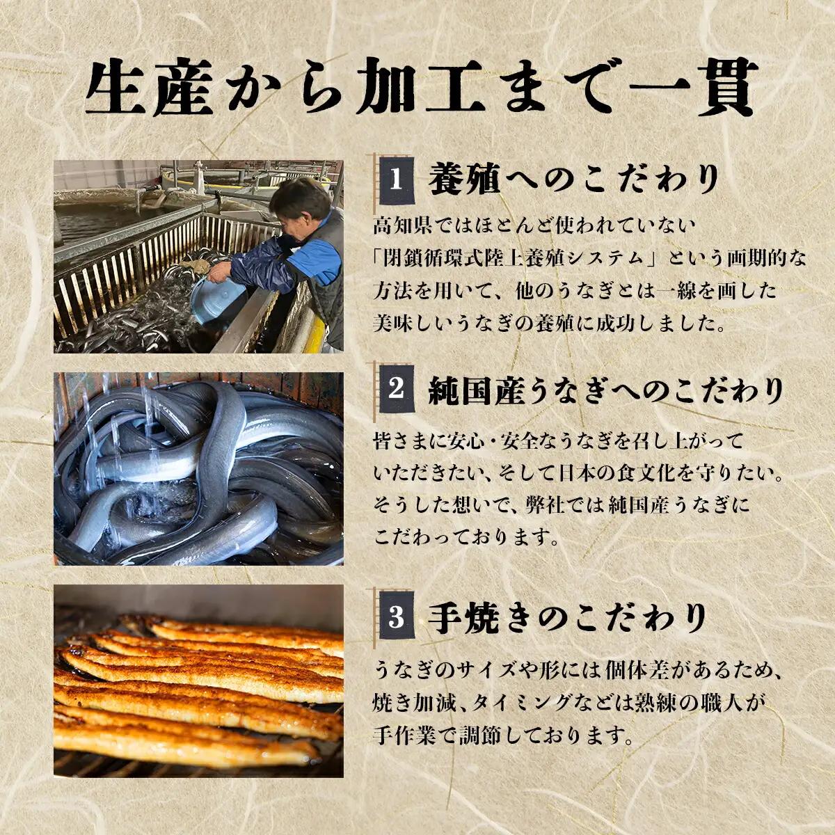 国産うなぎ蒲焼 合計450g（150g×3尾） 【送料無料】U002 [U002] 【東洋町うなぎ株式会社】