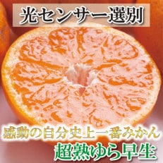 ＜2024年11月より発送＞厳選 超熟有田みかん3kg+90g(傷み補償分)【光センサー選果】