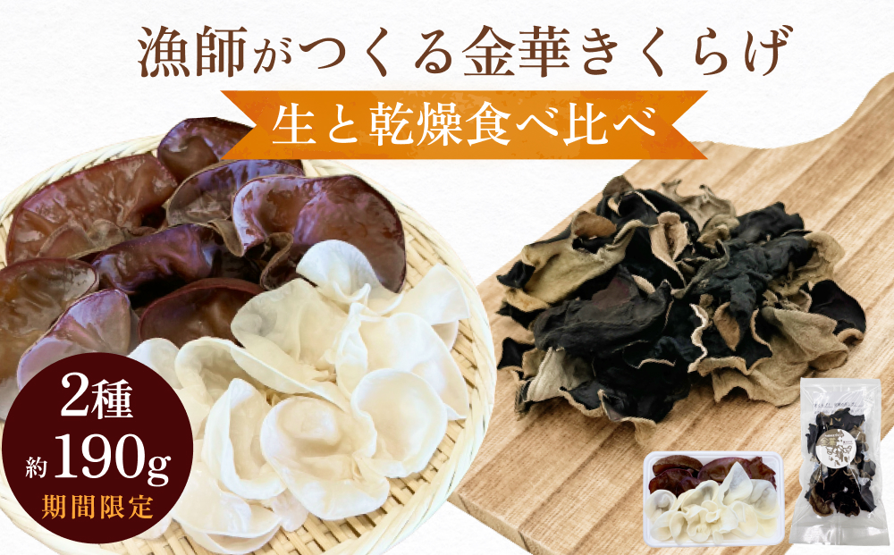 ＜ 期間限定 ＞漁師がつくる金華きくらげ 生と乾燥食べ比べ 合計約190g 生きくらげ 乾燥きくらげ キクラゲ 木耳 きのこ 乾燥 国産 食物繊維 野菜